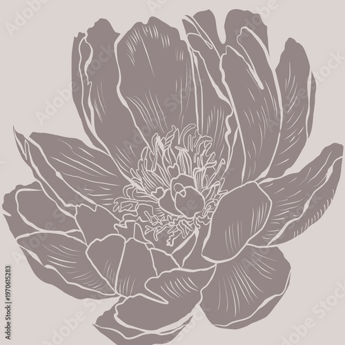 An expressive botanical line art of a peony flower with widely opened petals. The organic structure and flowing lines create a natural and elegant floral aesthetic.