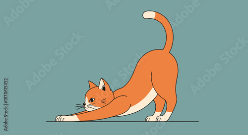 Orange Tabby Cat Stretching Its Body in a Playful Pose on a Teal Background