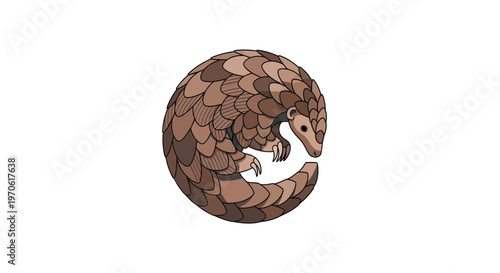 Curled Pangolin Vector Illustration - Circular Defensive Pose of Endangered Scaly Anteater
