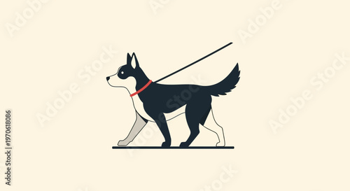 Black and White Dog Walking Leash.