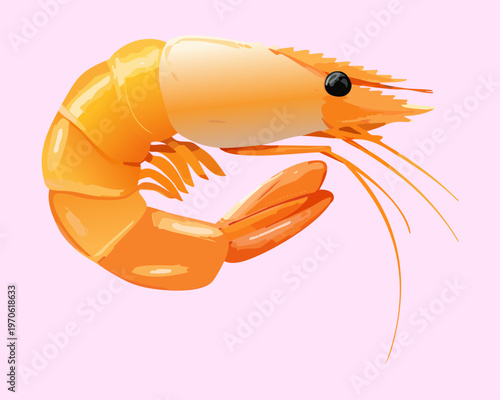 Single fresh shrimp prawn for seafood restaurant menu and healthy marine diet product design - Vector Illustration