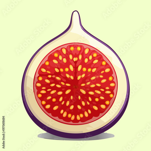 Fresh fig fruit cut in half for grocery store and healthy lifestyle blog content - Vector Illustration