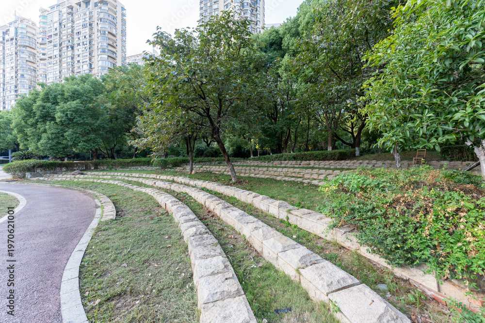 Fototapeta premium spring park and modern city