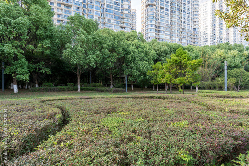 city park with modern building background in shanghai