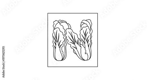 Lettuce Letter N Alphabet Vegetable Organic Healthy Food Illustration