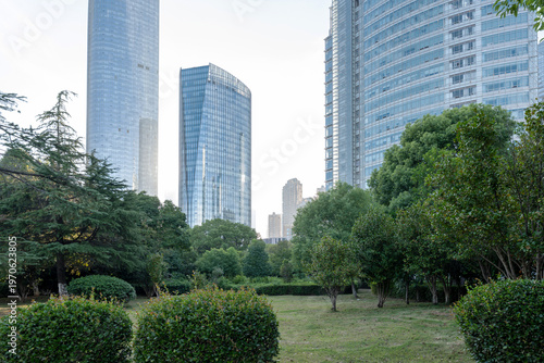 city park with modern building background in shanghai