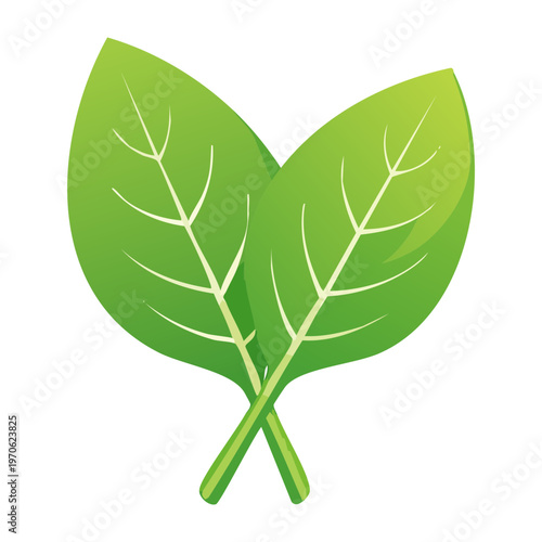 Simple green leaves for organic farming and natural healthy vegetable food branding and design elements - Vector Illustration