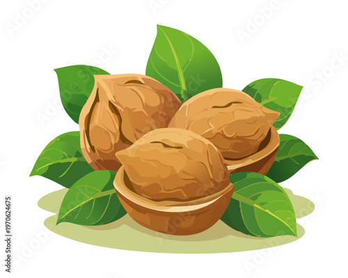 Group of three walnuts with shells and green leaves for agricultural harvest promotion and healthy fat diet source - Vector Illustration