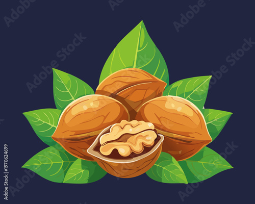 Cracked walnut showing the inner kernel surrounded by green leaves representing high quality organic brain food and nutrition - Vector Illustration