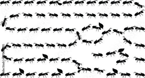 Black Ant Silhouettes Marching in Wavy Trails on White.