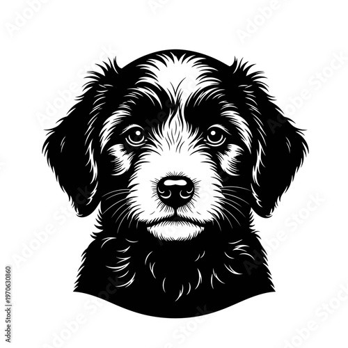 Puppy Portrait: A close-up, high-contrast black and white portrait of a puppy, capturing the essence of innocence and youth, with its soft features and captivating gaze.