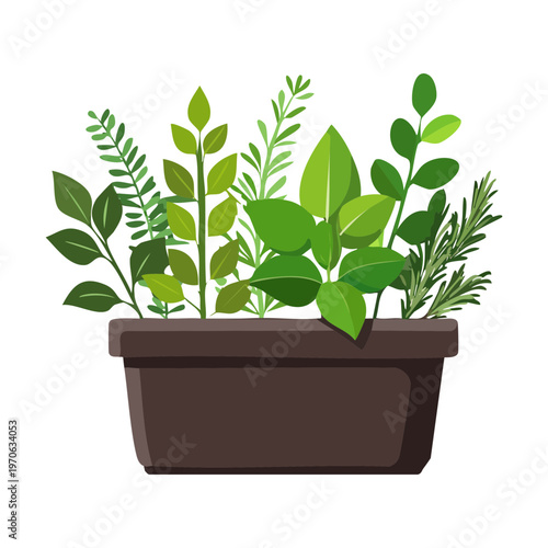 Black plastic herb pot filled with fresh aromatic leaves like basil and mint for indoor kitchen gardening and culinary use