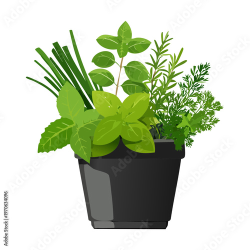 Kitchen herb garden in a black circular pot featuring chives parsley and basil for healthy organic food preparation at home