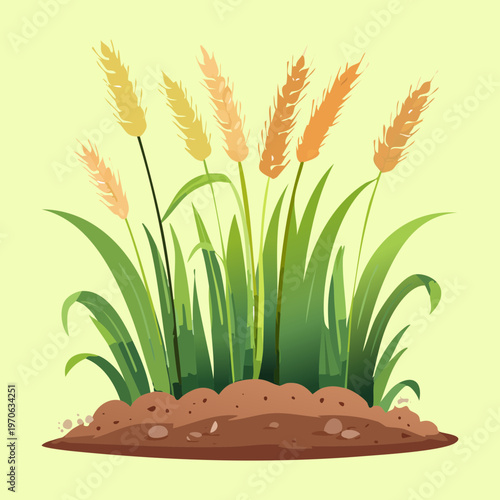 Tall green grass blades and golden wheat stalks in a natural cluster for rural landscape and agricultural harvest theme during summer time