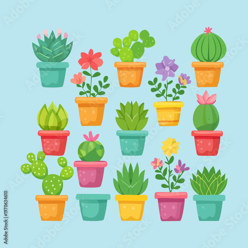 Assorted mini cacti and succulents in nursery pots for plant market sales greenhouse inventory management botanical education charts and home garden styling ideas