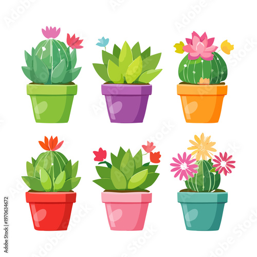 Group of flowering cacti in pots for spring garden festivals desert flora conservation awareness botanical art prints and home interior plant decoration assets