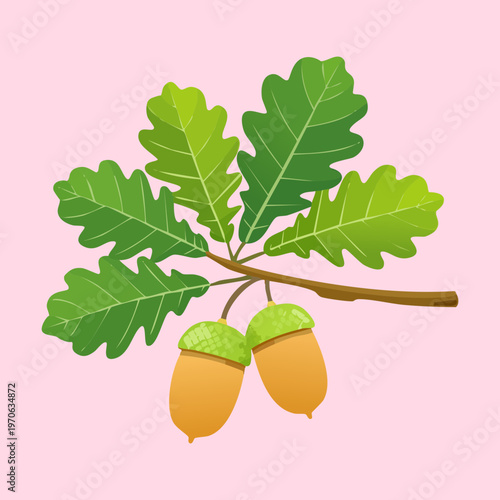 Oak branch with green leaves and brown acorns for forest ecology education nature park branding autumn season posters and botanical art collection