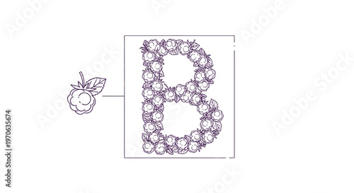 Letter B Made of Raspberries and Leaves, Fruit Alphabet, Berry Illustration