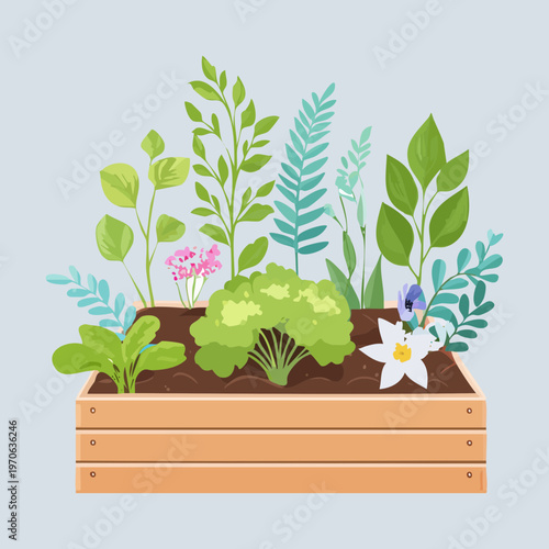 Sprouting potato plant in soil for agriculture technology research organic farm branding gardening hobbyist education and botanical illustration for textbooks