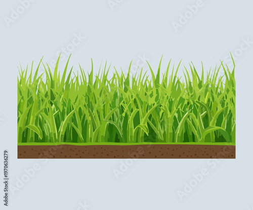 Vibrant spring flowers in terracotta pots for balcony garden styling floral boutique branding seasonal nursery promotions and home improvement blog visual content