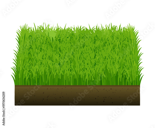 Potted garden flowers for patio decoration nursery plant sales promotions seasonal landscape design and home gardening blog header images for spring season