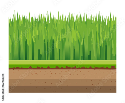 Dense lawn grass for backyard landscape planning suburban gardening branding park maintenance service advertisements and nature theme art for home decor products