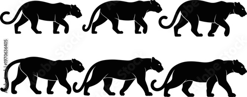Black panther leopard feline silhouette walking sequence, wild animal motion study, predator movement poses collection, flat vector illustration design