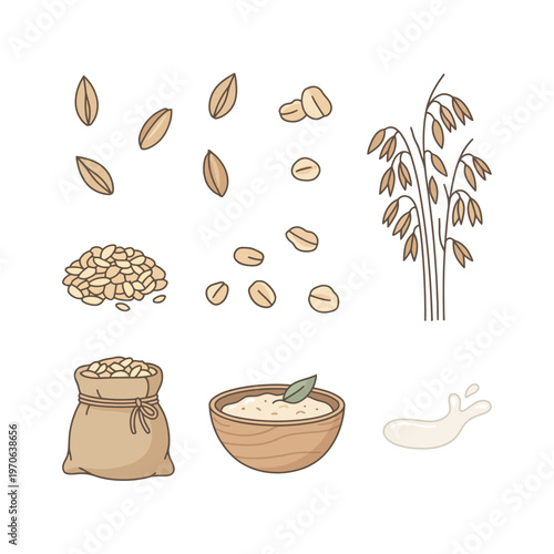 Set of oat icons including grains plant bag porridge and milk splash flat vector illustration