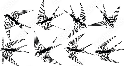 Flying Swallow Birds in Black and White, Detailed Line Art Illustration