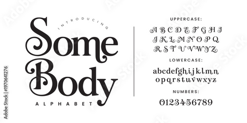 SomeBody Classic Decorative Serif Font with Swirly Swash for Vintage Elegant Branding and Stationery Design