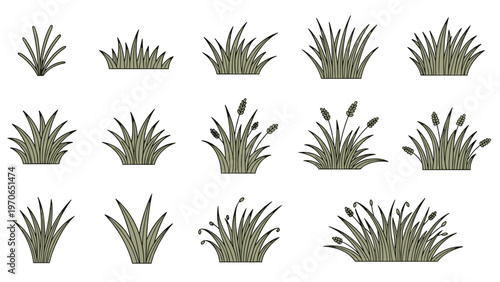Comprehensive collection of various types of green grass tufts and weeds drawn in a simple, clean, and hand-drawn vector style.