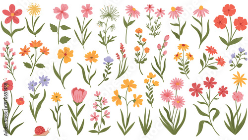 Large set of various colorful wildflower illustrations including daisies, poppies, and lavender with their stems and leaves.