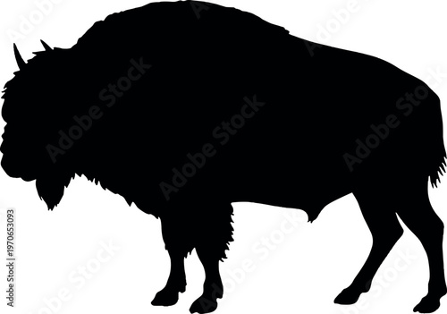 Bison silhouette minimal black vector illustration for wildlife mammal nature prairie animal design and conservation concept use