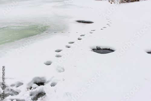 Fotografie Melting river ice with deep footprints revealing dark water, symbolizing the treacherous conditions of late winter