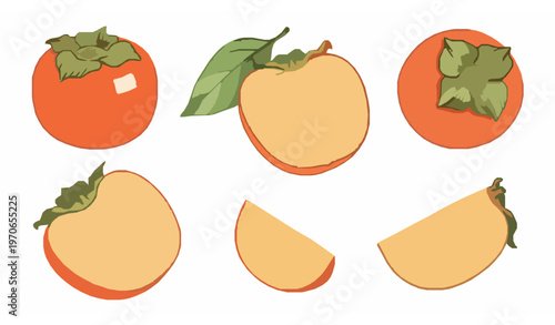 Fotografie Watercolor persimmon fruit vector set with whole half and slices in soft hand pa
