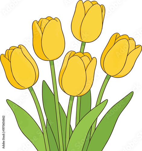 Created on yellow tulips blooming in a garden during spring isolated vector art on white background