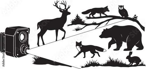 Wildlife Photography Camera Captures Animals in Forest Habitat Silhouette