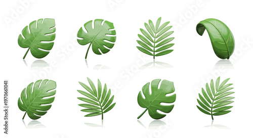 Tropical plants display various green leaves on a plain background