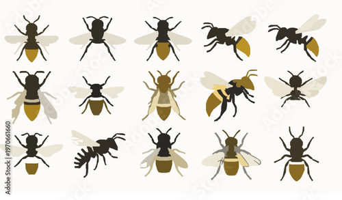 Cartoon wasp bee hornet icon collection vector insect set for web design isolated on white background