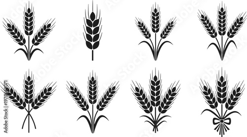 Black silhouette illustrations of wheat stalks in decorative designs, agriculture harvest symbols, food production artwork, farming concept, natural grain icon collection illustration