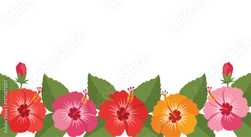 Vibrant floral arrangement of pink, orange, and red hibiscus flowers with green leaves on a white background, flat lay with colorful blooms.
