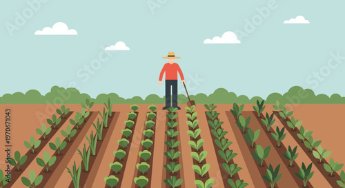 Farmer standing in a field with plants growing in rows