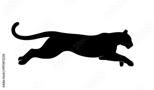 Photography Leaping puma silhouette in motion isolated on white background agile wild cat ve