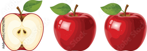Set of Red Apples with a Whole and Sliced Apple Illustration for Healthy Food, Nature, and Fresh Produce Designs