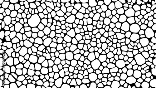 Abstract black and white pattern resembling cracked earth or cellular structure