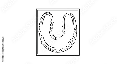 U-shaped pickle illustration in a square frame, line art, simple, clean, food graphic