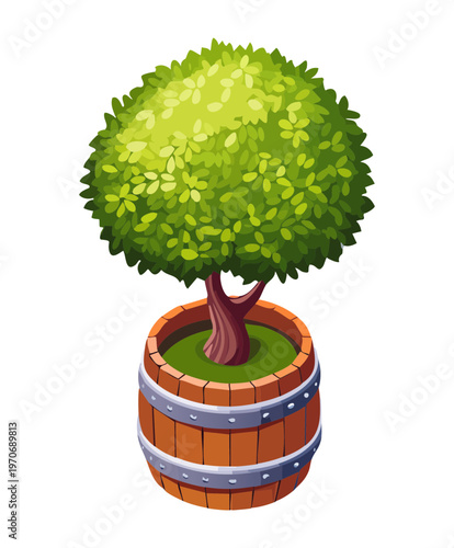 Potted tree in wooden barrel for garden patio decoration urban greenery project and botanical landscape design element for outdoor space planning graphics