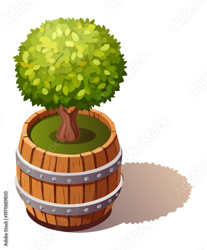 Small tree in wooden pot for garden balcony decoration home greenery project and botanical landscape design element for outdoor space planning graphics