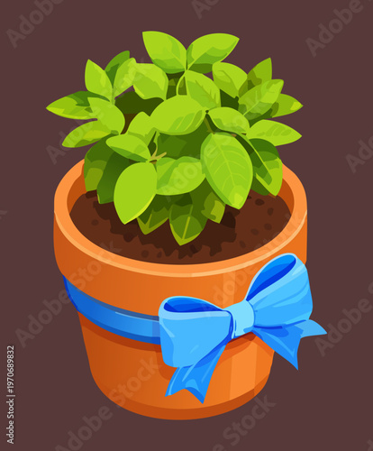 Green herbal plant in pot with blue ribbon for garden gift concept home greenery project and botanical spring season design element graphics