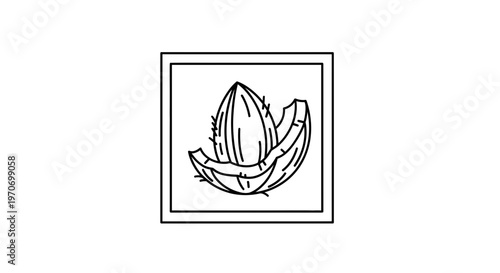 Hand-drawn illustration of a coconut half with its flesh and husk, isolated on white.